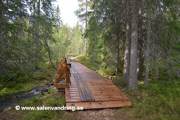 Ny bro över Norra Saldalsbäcken.