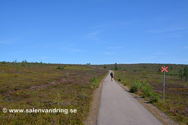 På väg uppför mot Köarskarsfjällets vindskydd