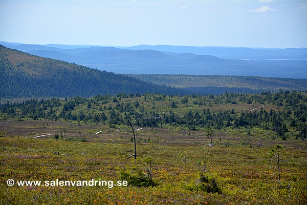 Leden mot Hemfjällsstugan