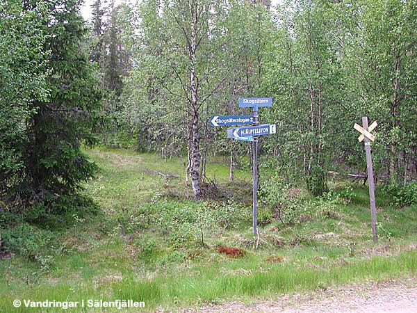 Ledskiljet vid Skogsäterns fäbod, juni 2002