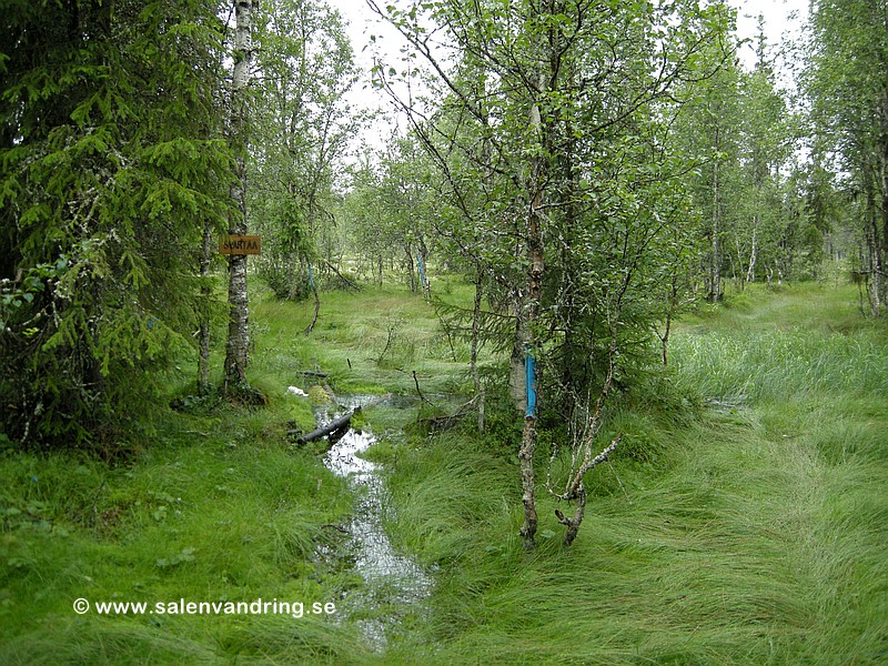 Väldigt blött vid Svartåa